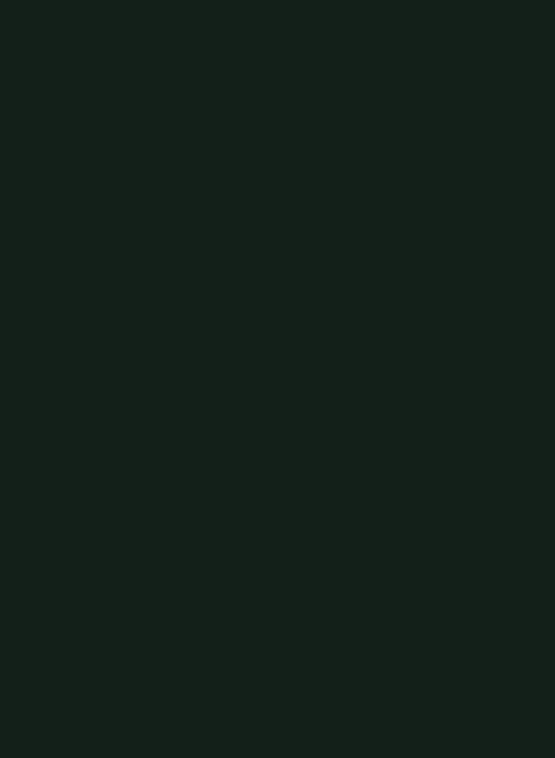 Obsidian Green 216