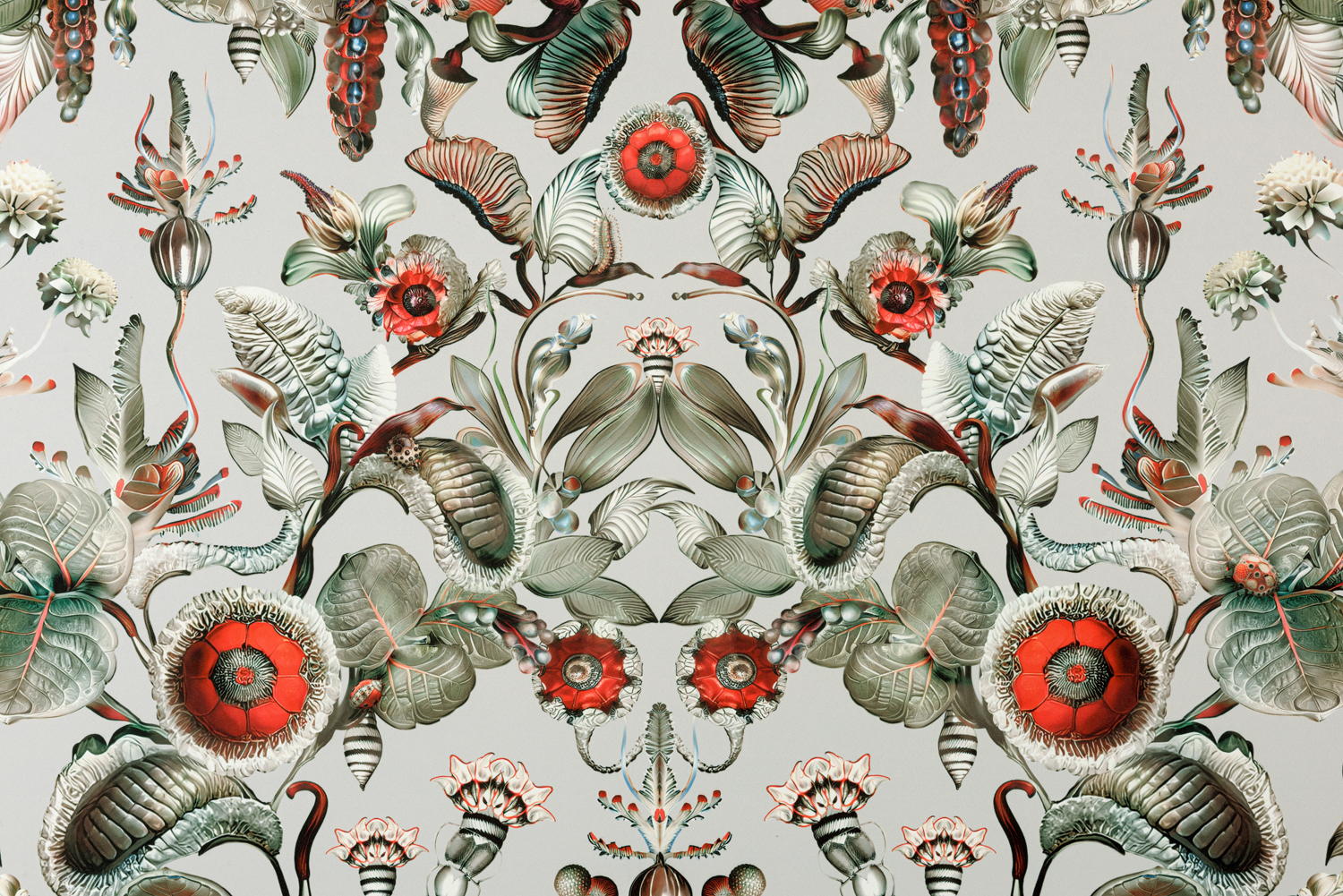 Tapete Coccinella Bella - Stone Grey