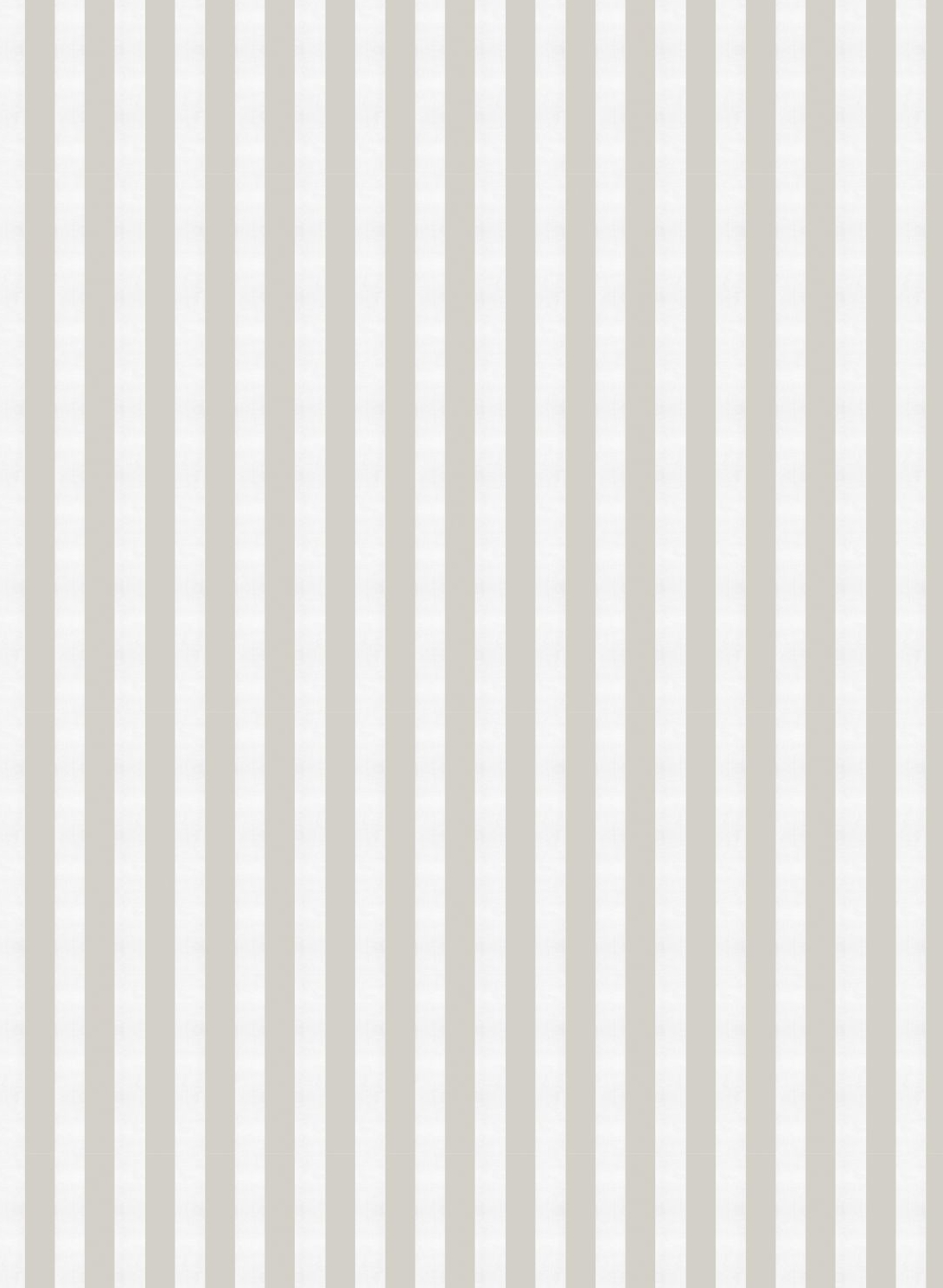 Tapete Stripe 8 - Yeso