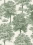 16148_1_Coordonné_Chestnut_Tree_B00348-134435