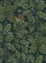 7596_2_BorasTapeter_In_The_Oak_2050-92990