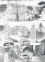4698_3_paintandpaper_tresco_abbey_paris_rooftops_0393agparis-58194