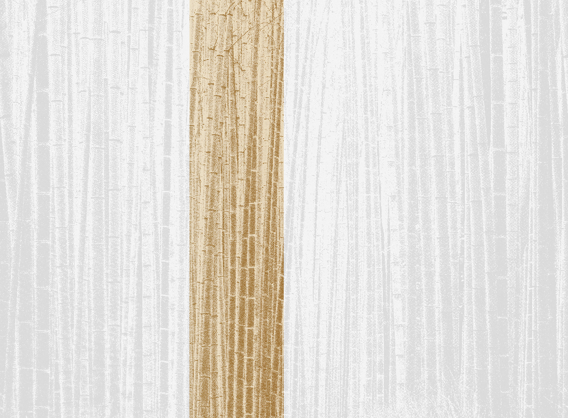 Wandbild Arashiyama - Sunrise Panel 3