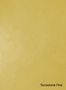 Terrastone-Fine-91-Vanillegelb-colour-sample-named-190729