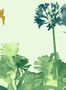 4699_1_paintandpaper_tresco_aloe_walk_glass_0393awglass-58199