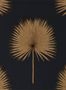 5172_1_sanderson_fan-palm_216639-54531