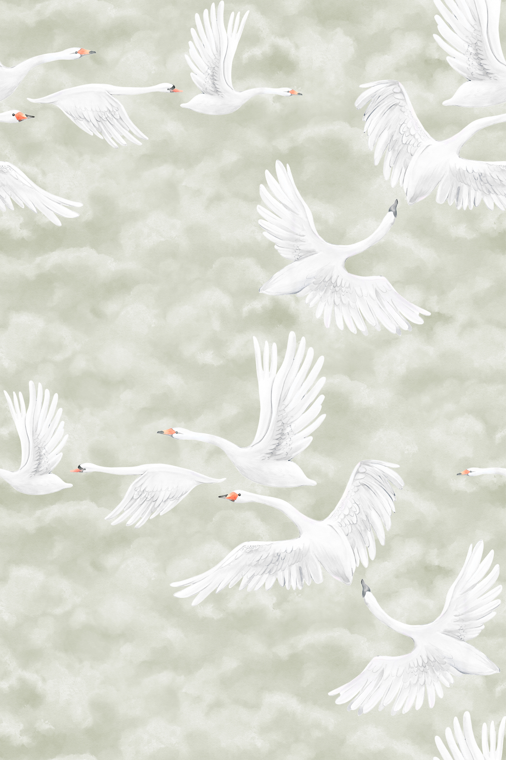 Wandbild Clouds Swans - 9414W