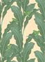 14930_01_Studio_Lisa_Bengtsson_Kool_Kermit_1704n-149183
