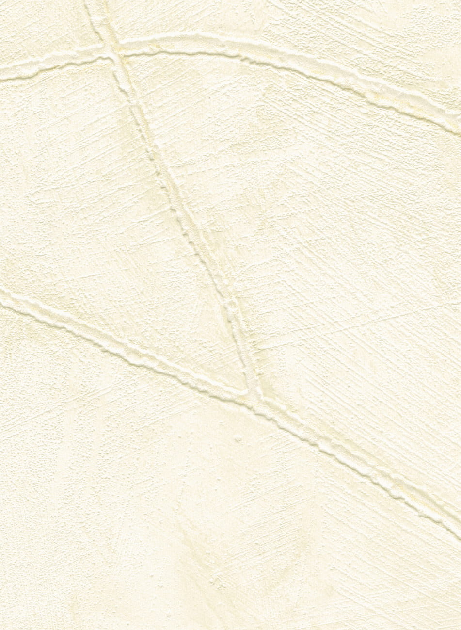 Tapete Kintsugi - VP 1004 01