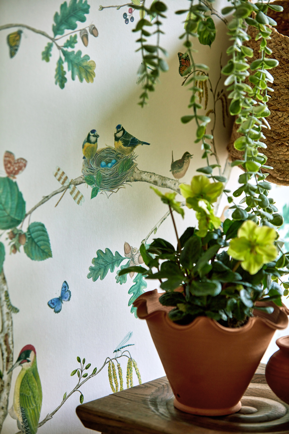 Tapete Woodland Chorus - Botanical/ Multi