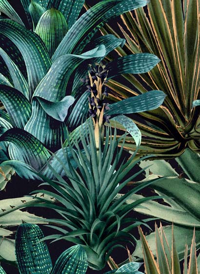 Tapete Lush Succulents - WP20164