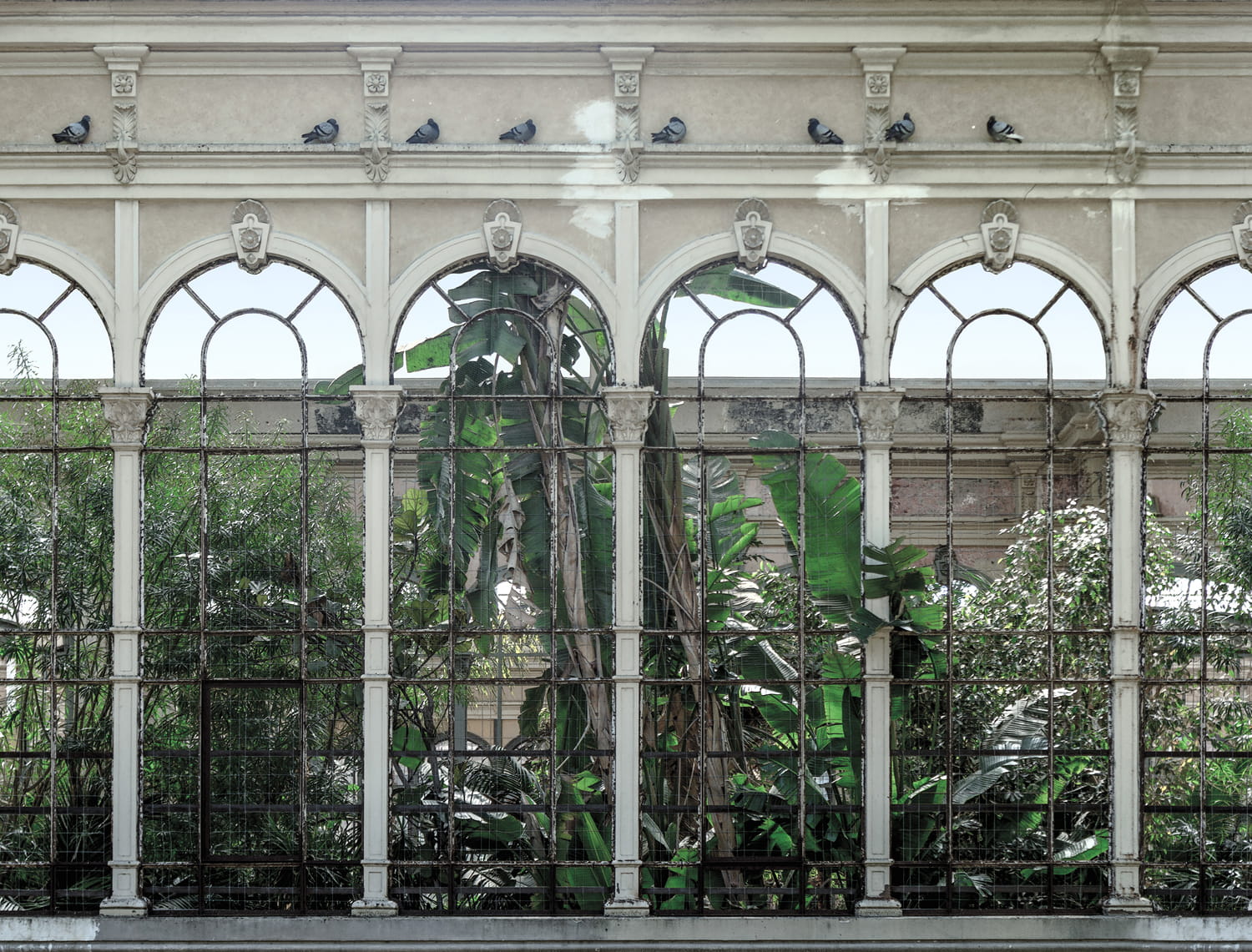 Wandbild Dove Gardens - Original