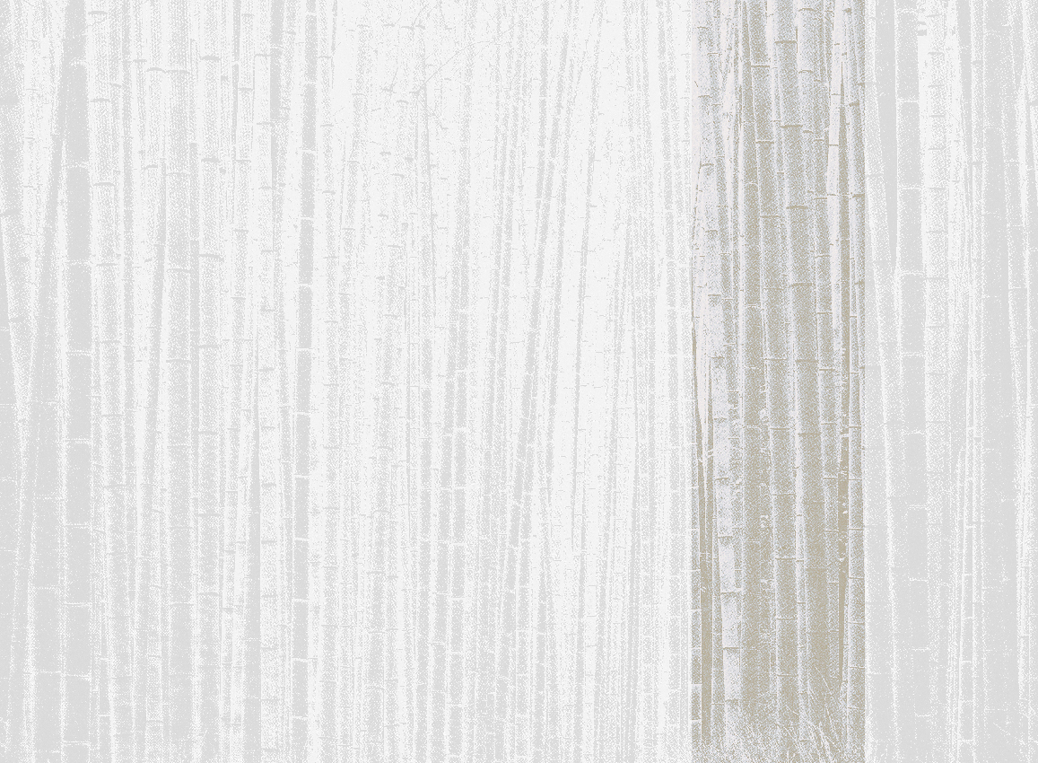 Wandbild Arashiyama - Neutral Panel 5