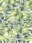 2343_12_rebel_walls_greenhouse_welcome_to_the_jungle_r13041-25055
