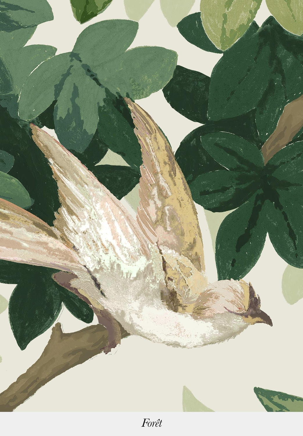 Wallpaper Les Oiseaux - Forêt