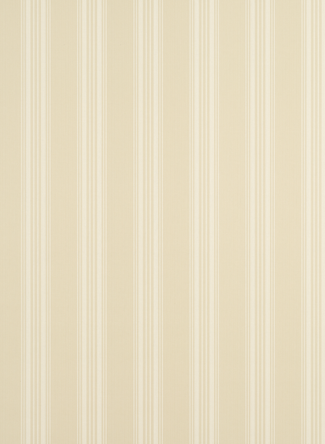 Tapete Scarlet Stripe - Buttercream