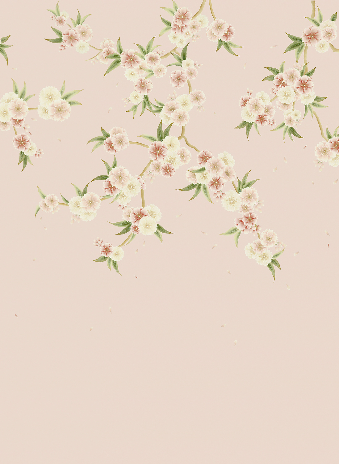 Wandbild Rosa - Blush Pearl/ Peony/ Meadow
