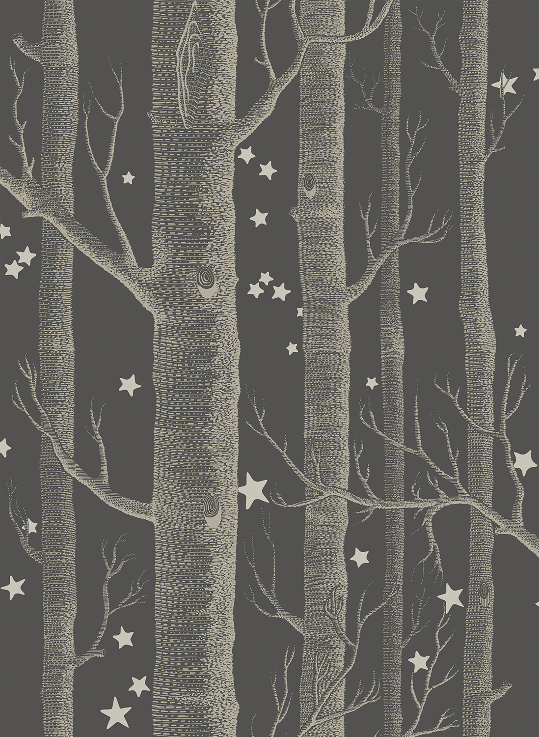 Tapete Woods & Stars - Charcoal
