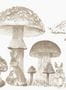 8833_3_Coordonne_Sweet_Forest_Stone_9700012-81011