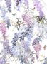 18657_01_Sanderson_Wisteria_Falls_217467-171259