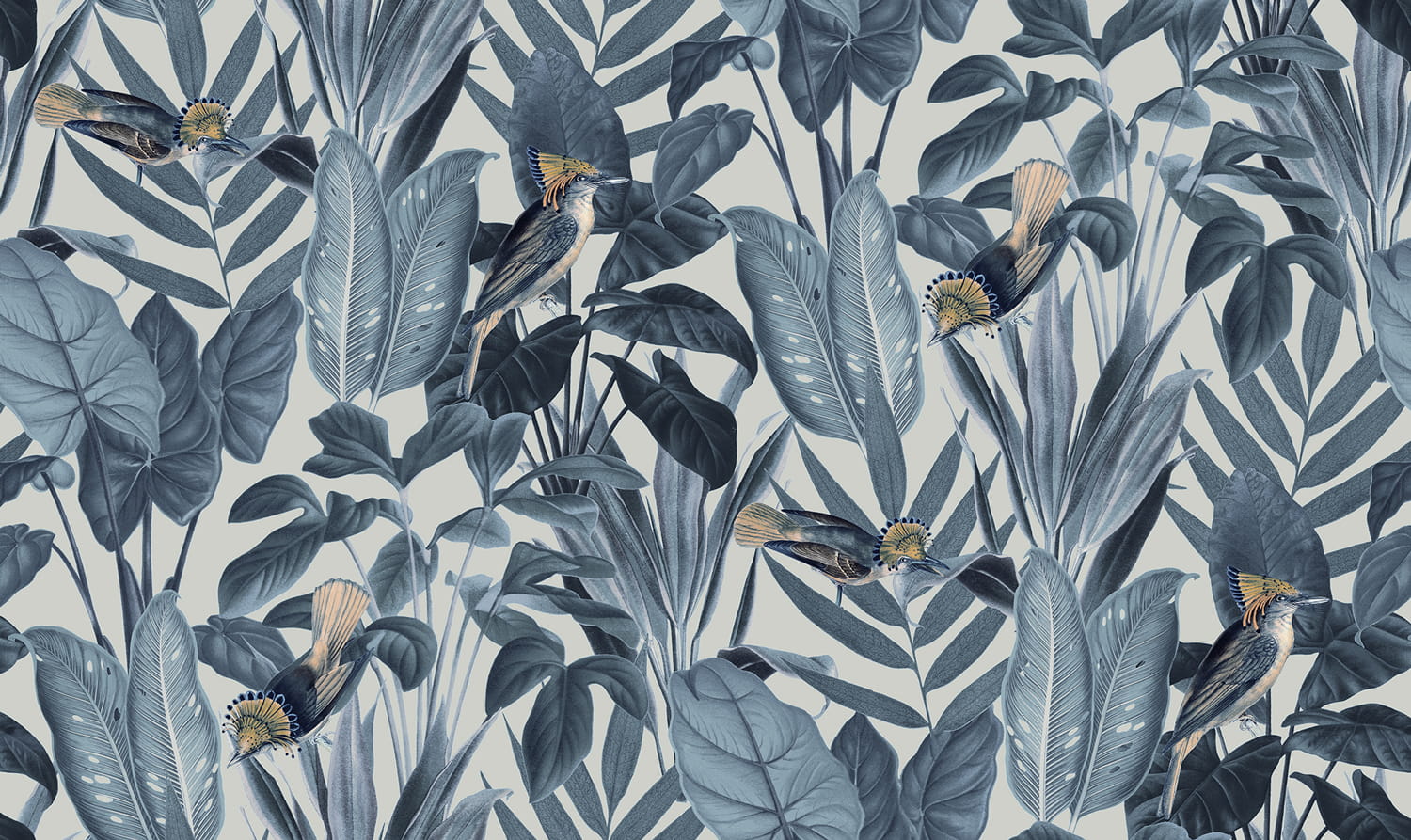 Tapete Birds of Paradise - Nightfall