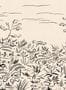 19061_01_Tres_Tintas_Floral_Cave_M5102-1-179884
