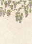 18225_01_Coordonne_Abril_YSP0639_-196082
