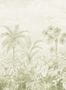 7064_3_Paint_Paper_Lib_Botany_Jangala_Willow_0360JAWILLO-60619