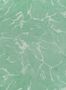 3102_2_nobilis_paros_cos135-28260