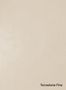 Terrastone-Fine-17-Champagne-Havane-colour-sample-named-190586