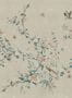 15100_3_Sandberg_Bloom_S10426-127525