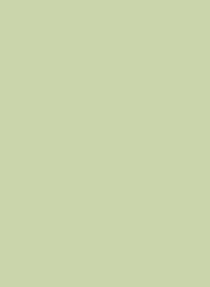 Exterior Eggshell - Cooking Apple Green 32 - 2,5l