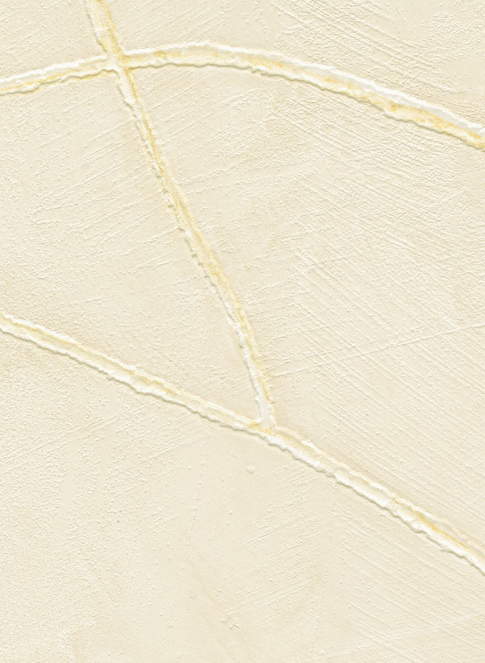 Tapete Kintsugi - VP 1004 02