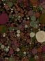 16446_01_Coordonné_Big_Bang_B00854-161321