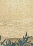 6910_1_Nobilis_Akita_PAN110-88014