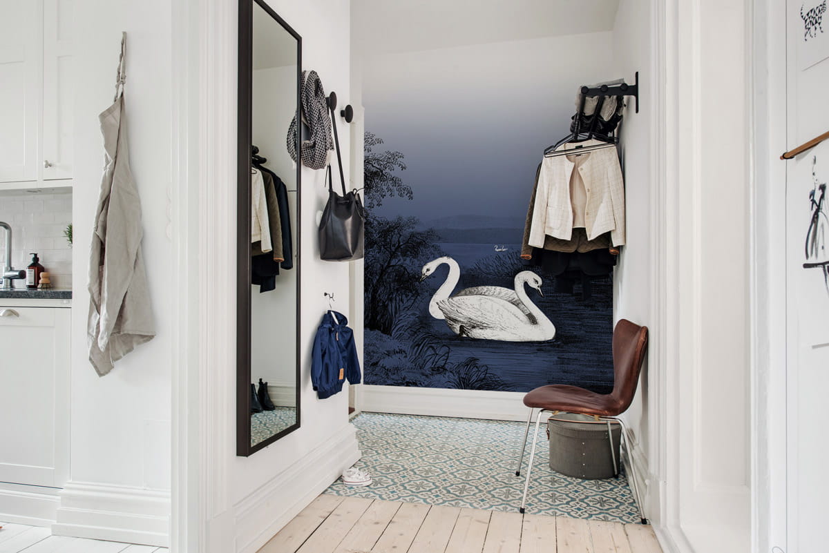 Wandbild Swan Lake - Nightfall