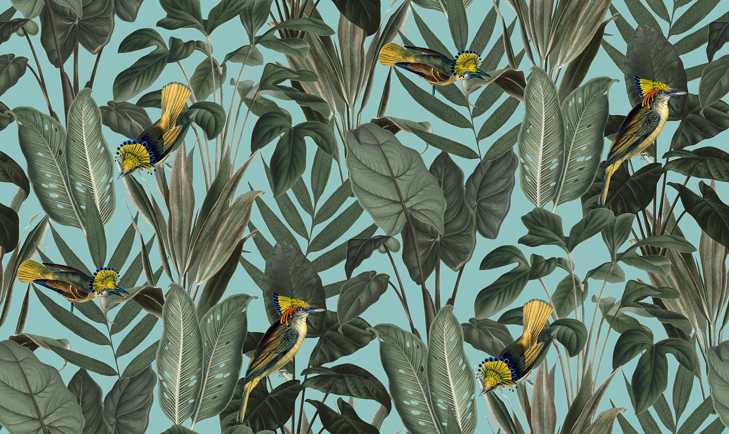 Tapete Birds of Paradise - Lush Green