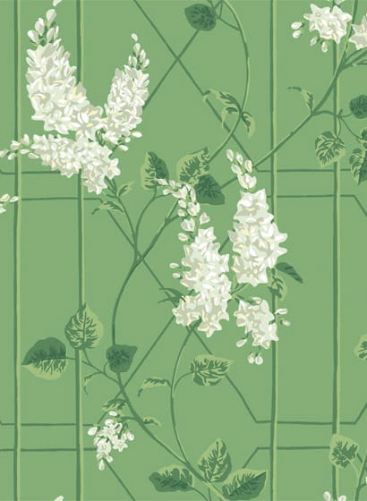 Tapete Wisteria - Sage/ Leaf Green