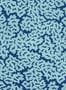 18723_01_Thibaut_Maldives_T42040-186298