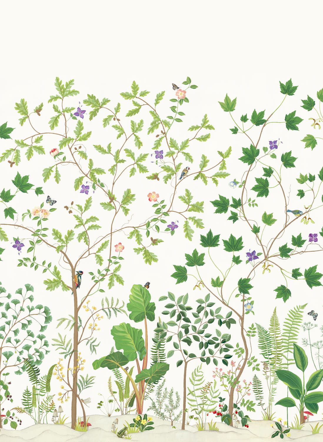 Wandbild Sycamore and Oak - Botanical Green
