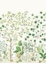 9792_1_Sanderson_Sycamore-and-Oak_217211-100954
