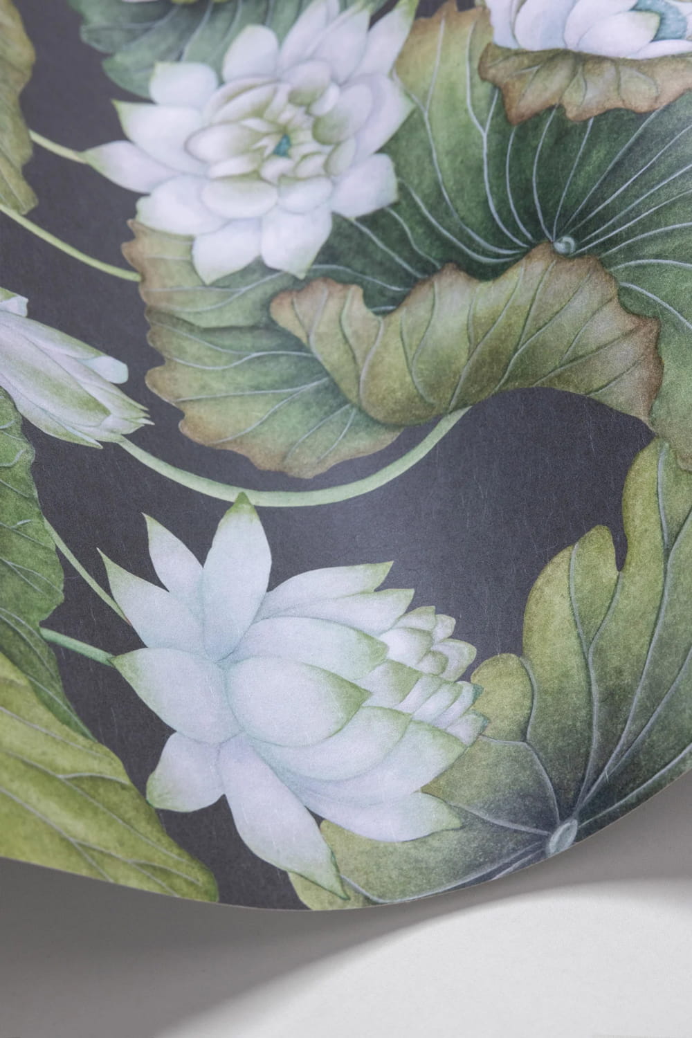 Tapete Lily Lotus - White on Charcoal