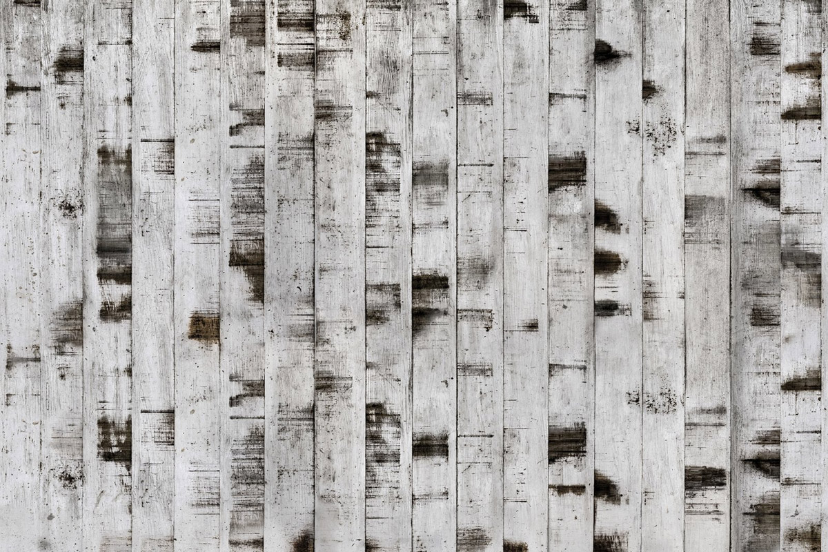 Wandbild Metal Birch