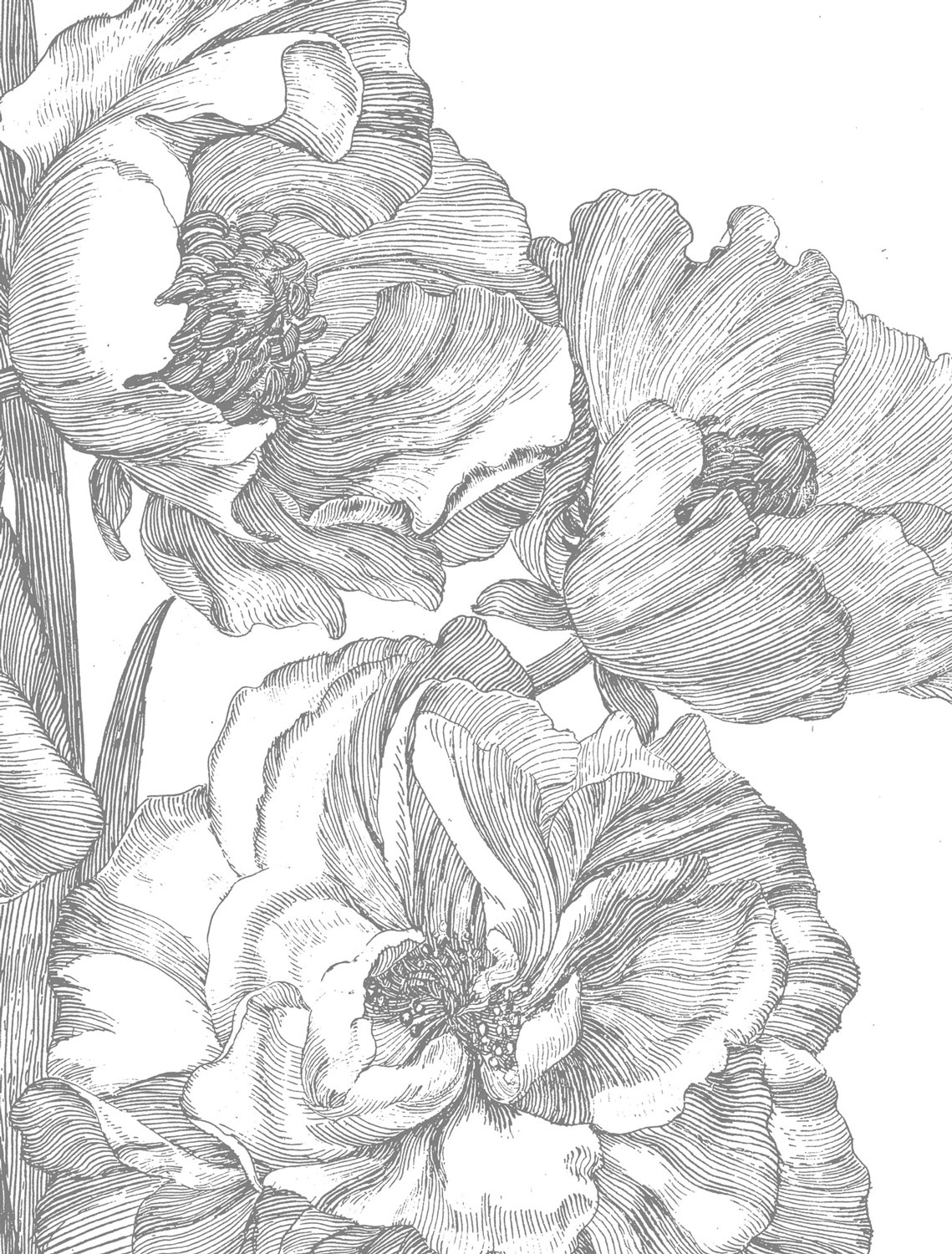 Wandbild Engraved Flowers 4 - M