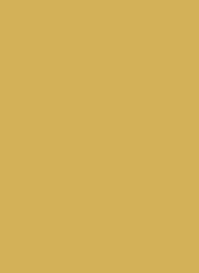 Musterdose Farrow & Ball - Sudbury Yellow 51 - 0,1l