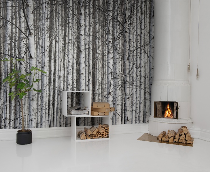 Wandbild Birch Trunks