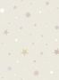 6654_3_Rebel_Walls_Stardust_R18547-81983