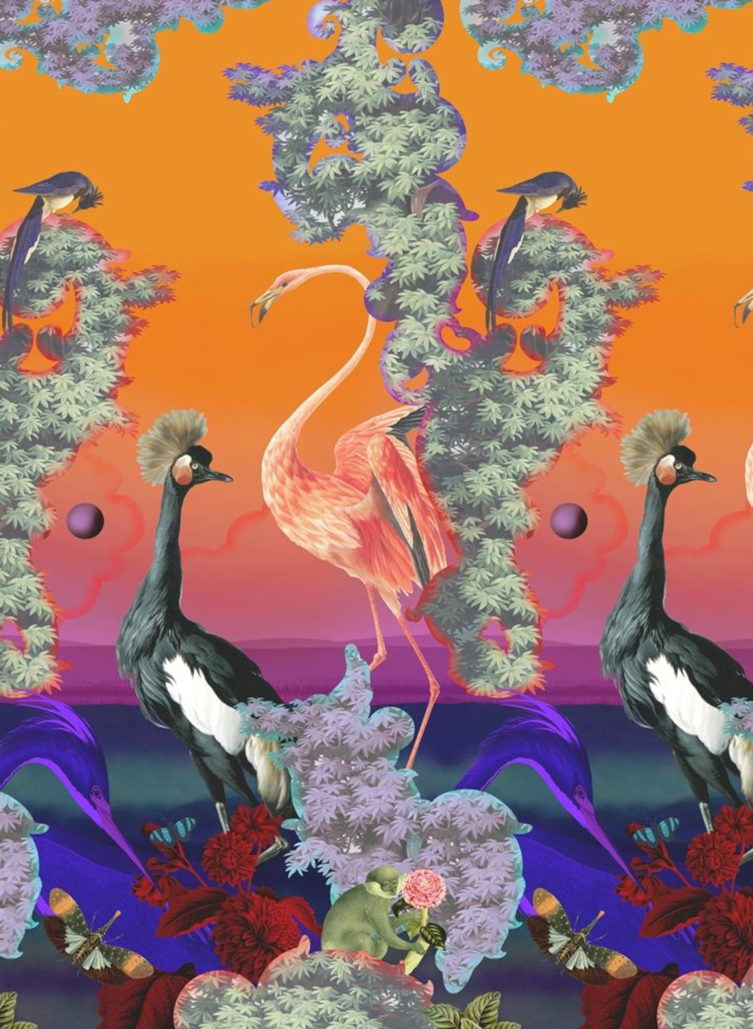 Wandbild Novafrica Sunset Scene 1 - Tangerine