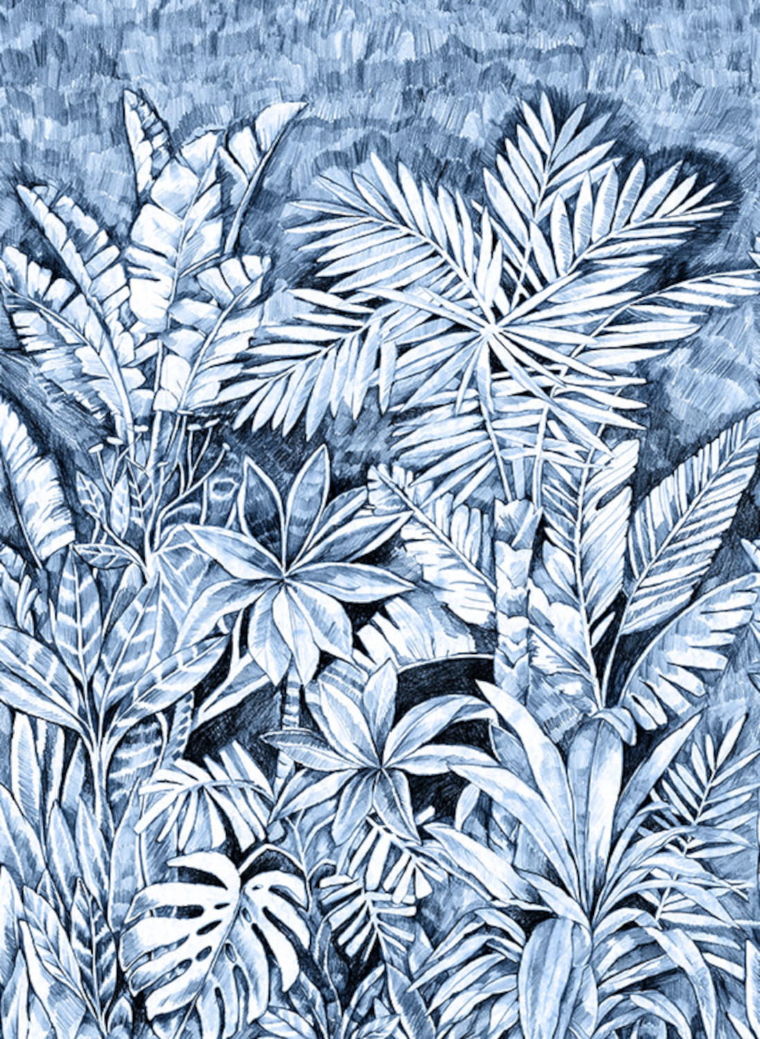 Wandbild Daintree - 41370