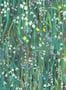 7744_1_House_of_Hackney_Galanthi_1-WA-GAL-DI-VRD-XXX-103495